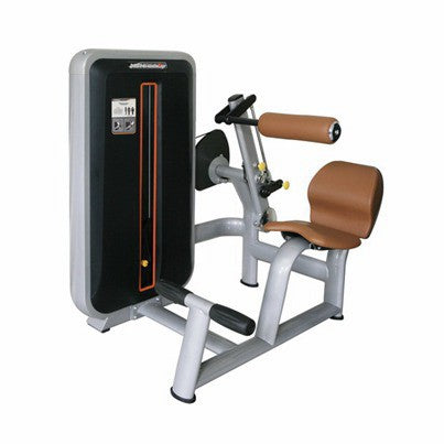 Back Extension Merk Fitness Manager