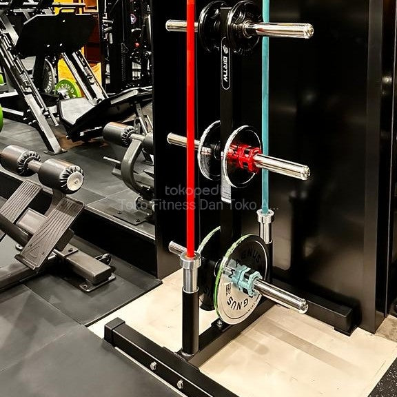 BRTW TS206 Weight Plate Tree/Rack Barbell/Commercial Equipment Fitness