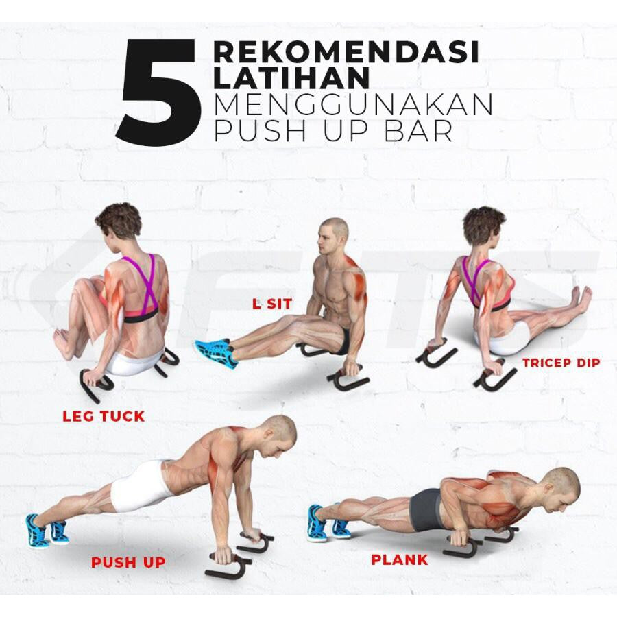 POTENCE PUSH UP BAR S / ALAT BANTU PUSH UP
