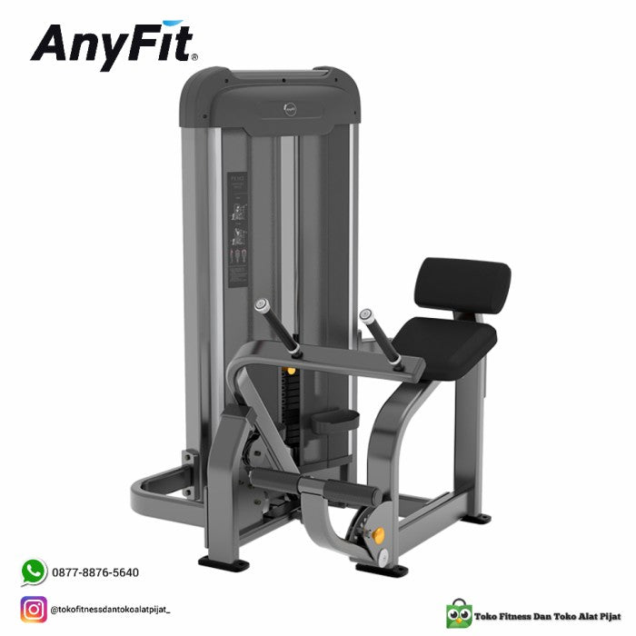 AnyFit PEB302 LOWER BACK MACHINE