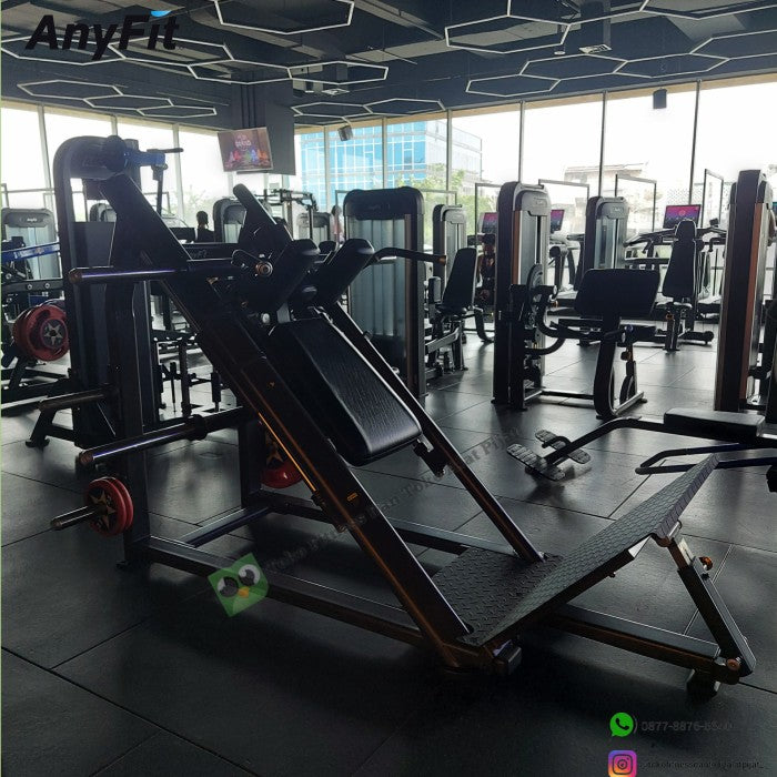 Bundling AnyFit PEB204 PLATE LOADED SQUAT & DHZ DUAL PULLEY E1017C