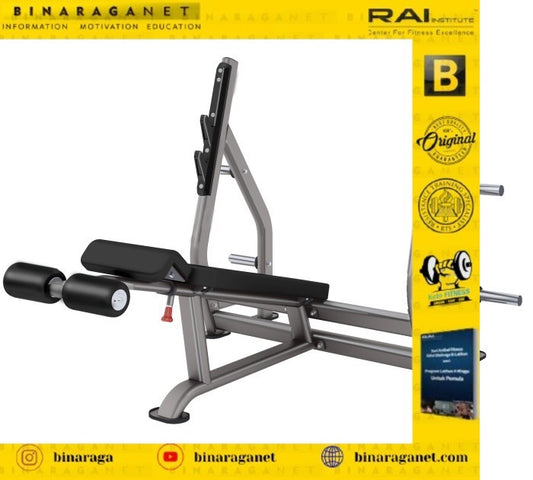 INSIGHT DR006B DECLINE OLYMPIC BENCH