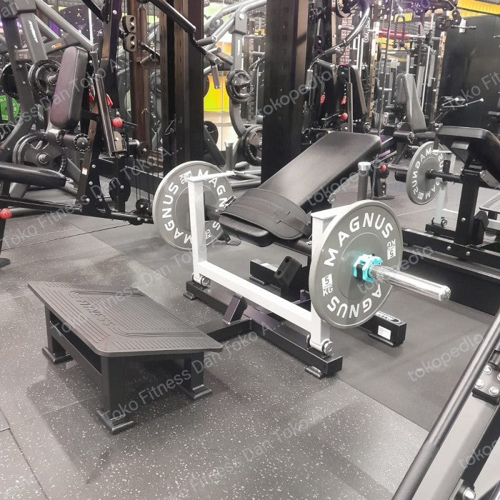 BRTW FITNESS Glude Mashine DZ30/ Fuctional /Gym / Fitness