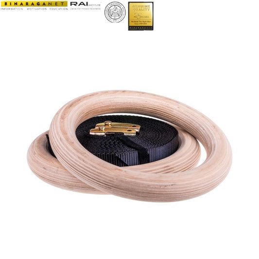 gymnastic rings