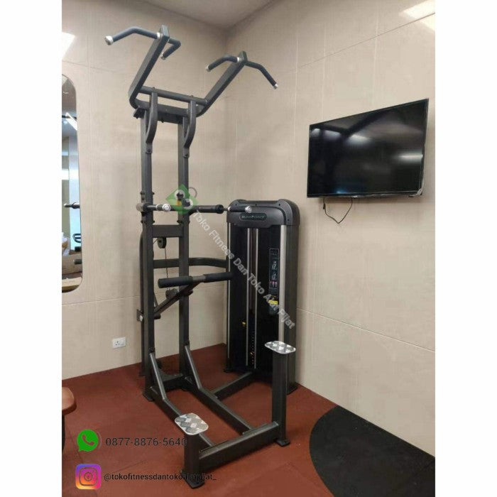 AnyFit ASSIST. CHIN DIP STATION
