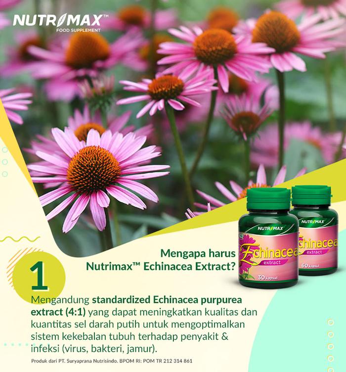 Nutrimax Echinacea Extract Imunitas Daya Tahan Tubuh Isi 30 Naturecaps