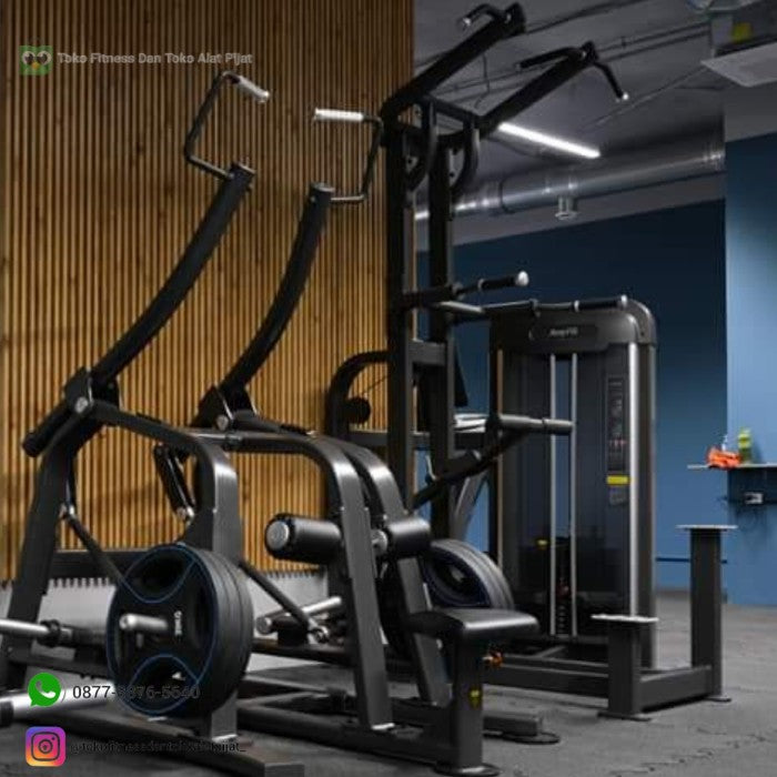 AnyFit ASSIST. CHIN DIP STATION