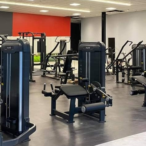 AnyFit PE203 Prone Leg Curl