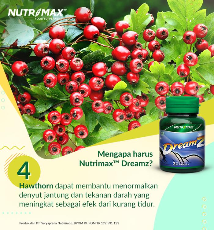Nutrimax Dreamz 30 Tablet untuk Tidur yang Berkualitas Insomnia Jet Lag Tekanan Darah Tinggi