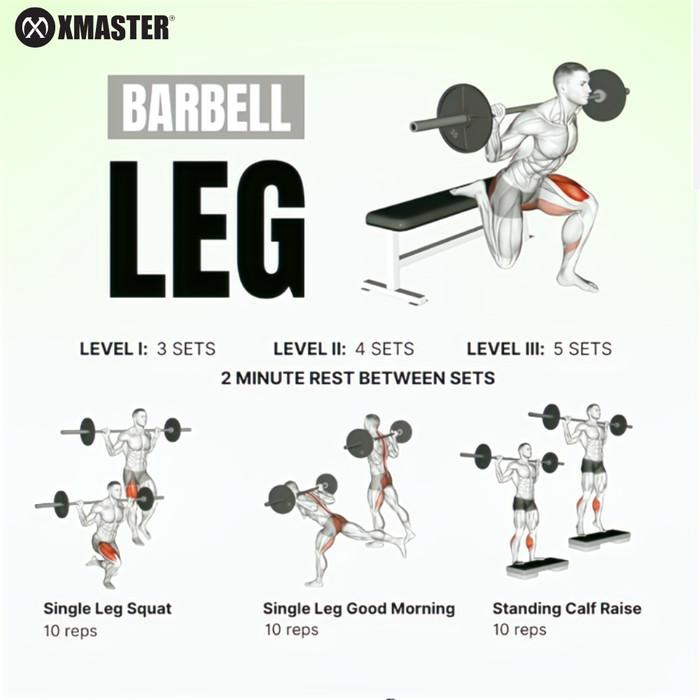 XMASTER Pelat Beban CPU Bumper Plate Set 5-25kg IWF Standar Gym Rumah CrossFit Powerlifting Warna IWF Aman Tahan Banting Garansi Resmi - 15kg Pair