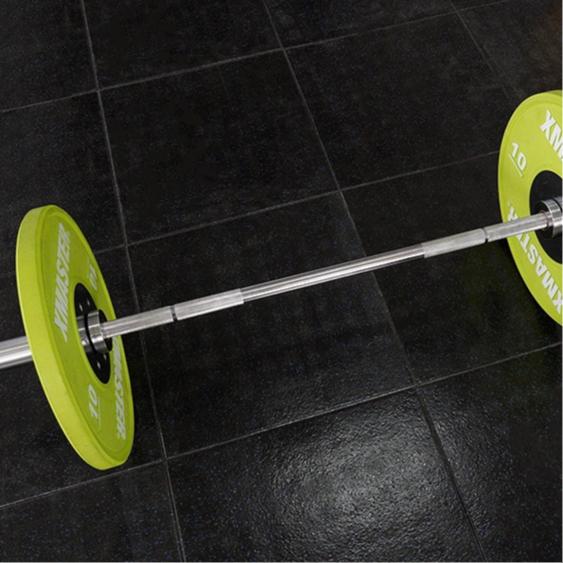 XMASTER EZ barbell Olympic Curl Mini Bar Strength CrossFit Home Gym Weightlifting ROGUE ELEIKO - Short Bar