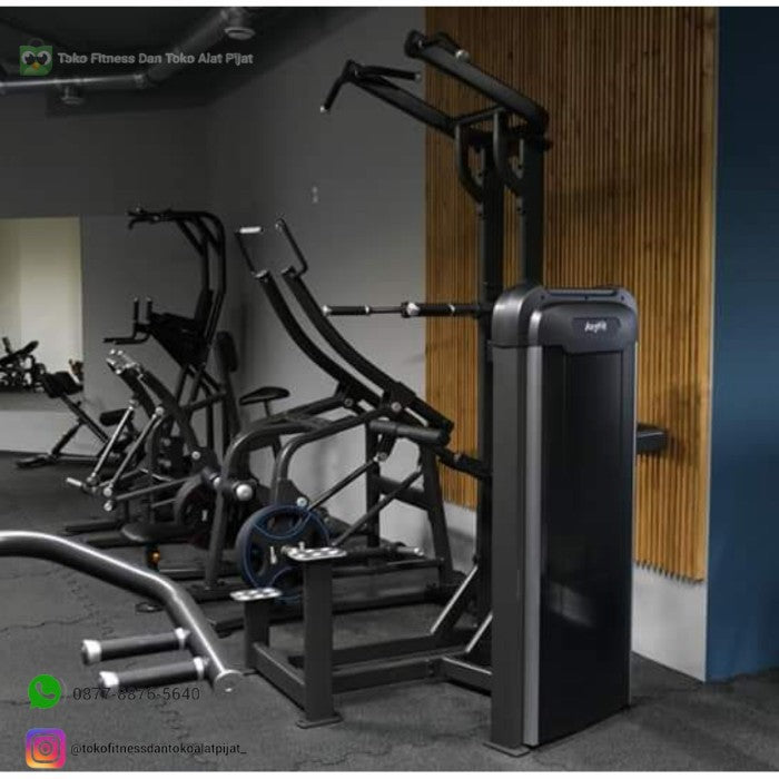 AnyFit ASSIST. CHIN DIP STATION