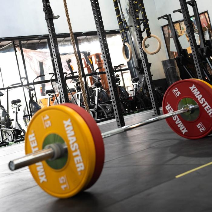 XMASTER CrossFit Training Barbell Weightlifting IWF standard Fitness Strength Gym ROGUE ELEIKO - Training bar-15KG