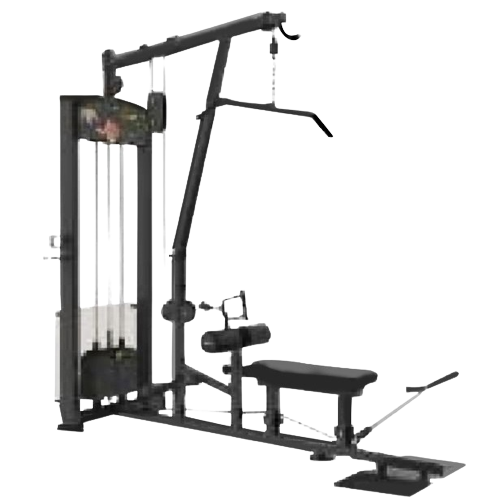 Row & Lat Pull Down + Standing Bicep BS 1212 A06 Body Strong