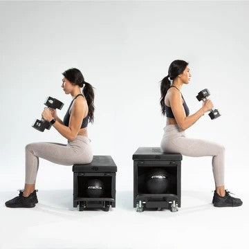 Fitbench Studio Multi-Purpose Workout Bench For Functional Training