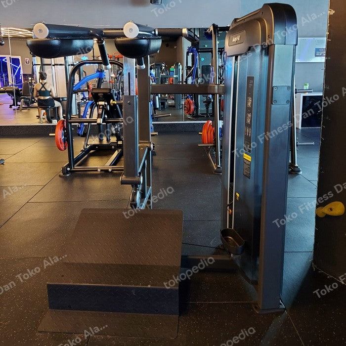 AnyFit PEB208 SQUAT CALF MACHINE