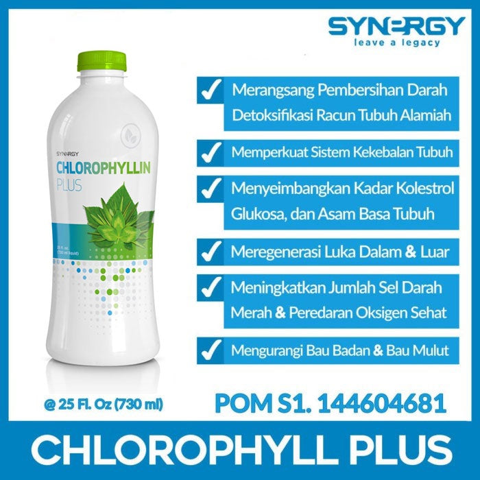 Synergy Chlorophyll Plus (25 Oz)