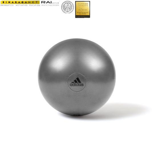 Adidas Gym Ball / Yoga Ball 75cm ADBL-11247