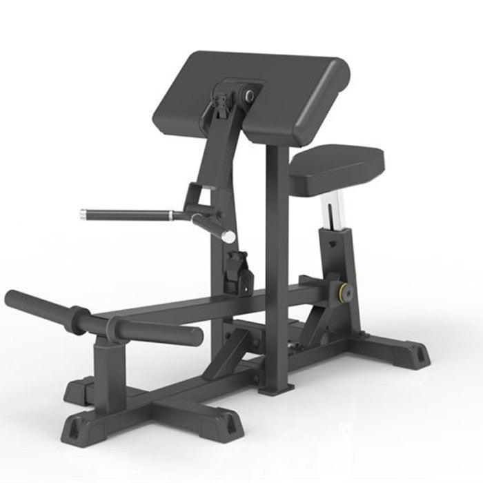 IMPULSE IFP1501-WX BICEP CURL