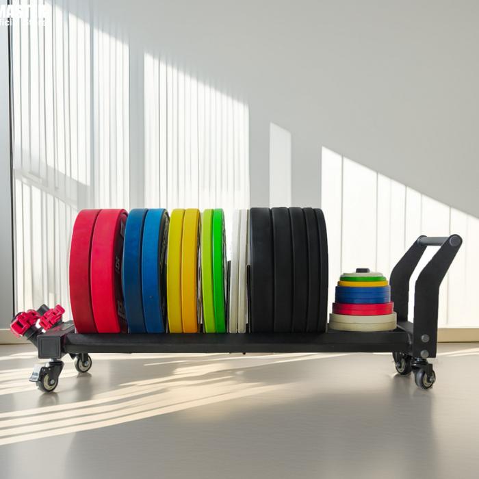 XMASTER Plate Storage Trolley Pro Stainless Steel Adjustable Holder 4 Roda Gym Komersial Crossfit - Trolley 2 Wheel