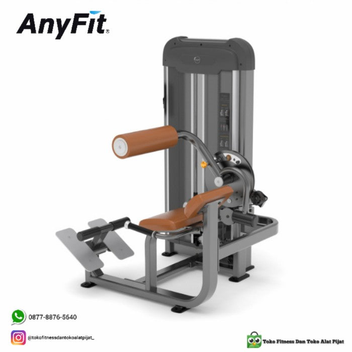 AnyFit PS06 Abdominal/ Back Extension