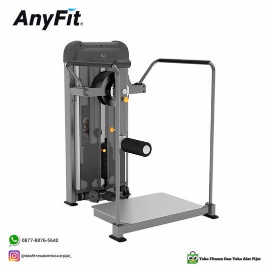 AnyFit PEB209 HIP ROTARY MACHINE