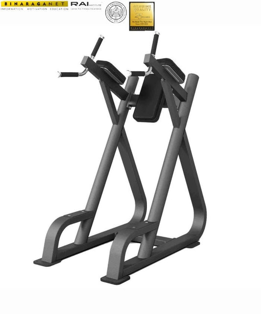 BINARAGANET Insight SR007 Vertical Knee Raise
