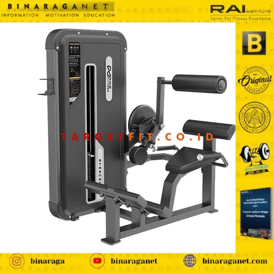 DHZ FITNESS BACK EXTENSION MACHINE with WEIGHT STACK 109kg