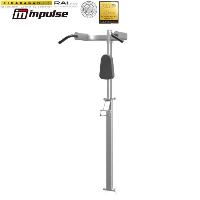 IMPULSE IT7010EOPT CHIN-UP OPTION