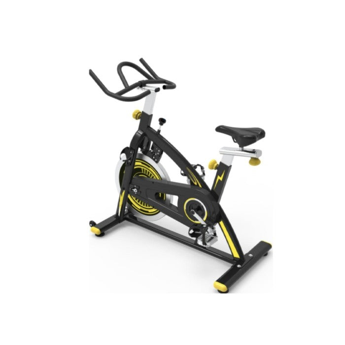 Spinning Bike Cybersport OLA B 020