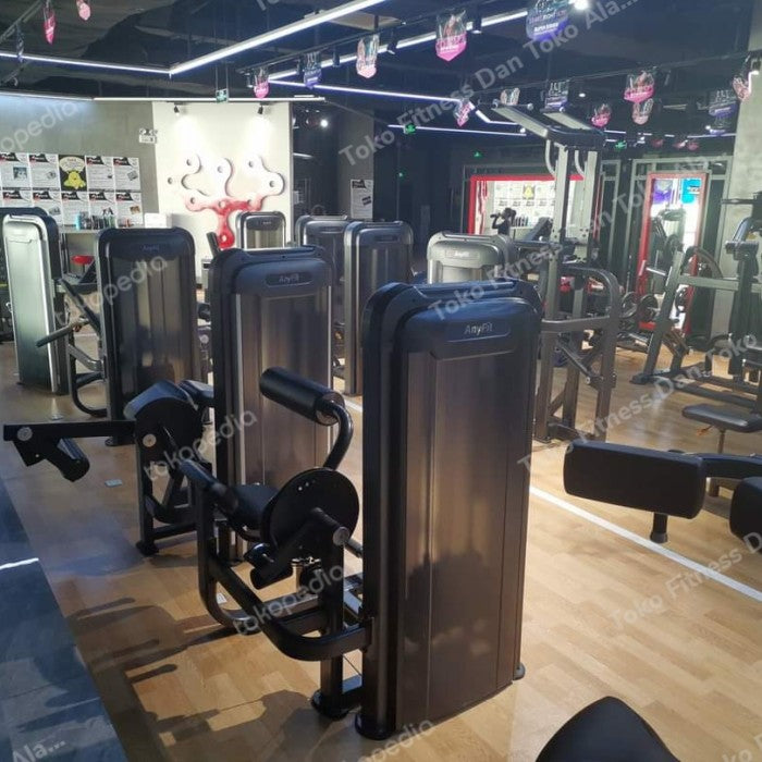 AnyFit PS06 Abdominal/ Back Extension