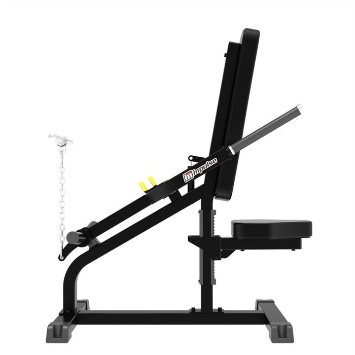 IFP 1706 BICEPS/TRICEPS IMPULSE