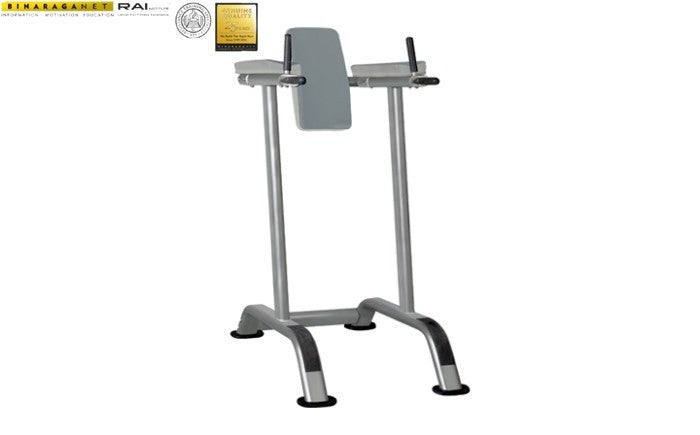 BINARAGANET Impulse IT7010 Vertical Knee Raise