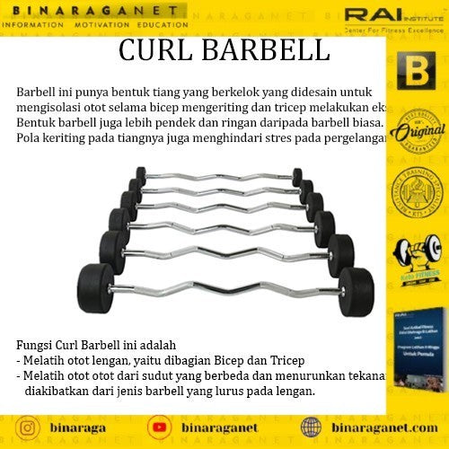 EZ Curl Barbell Sterling Set