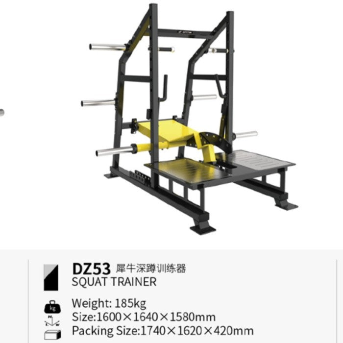BRTW DZ53 Squat Trainer /Belt Squat/Commercial Equipment Fitness