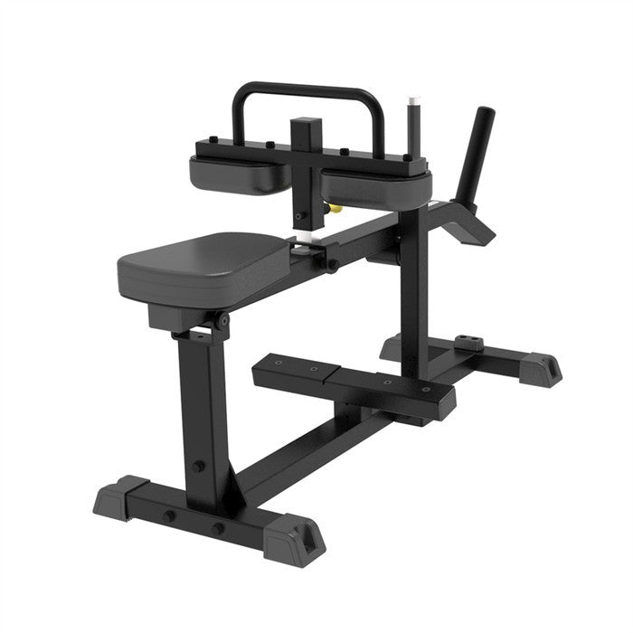 IFP 1623 SEATED CALF RAISE IMPULSE