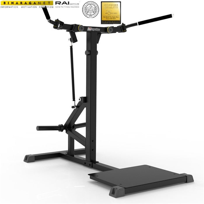 BINARAGANET IFP 1206 STANDING CHEST FLY IMPULSE