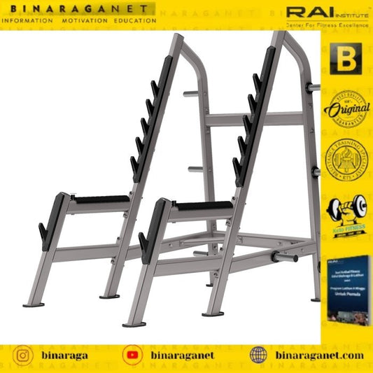 INSIGHT DR028 SQUAT RACK