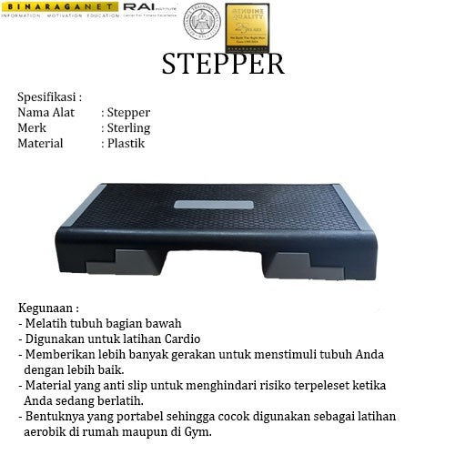 BINARAGANET Aerobic Stepper Sterling