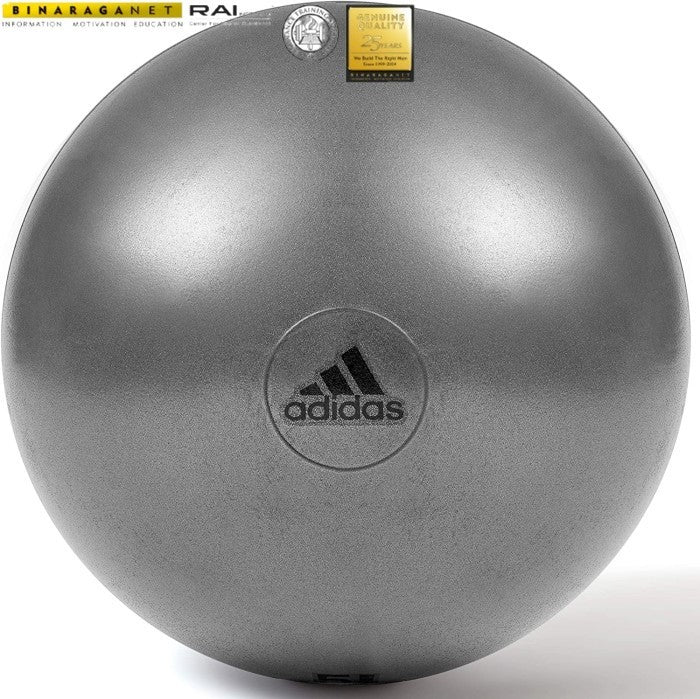 Adidas Gym Ball / Yoga Ball 65cm ADBL-11246