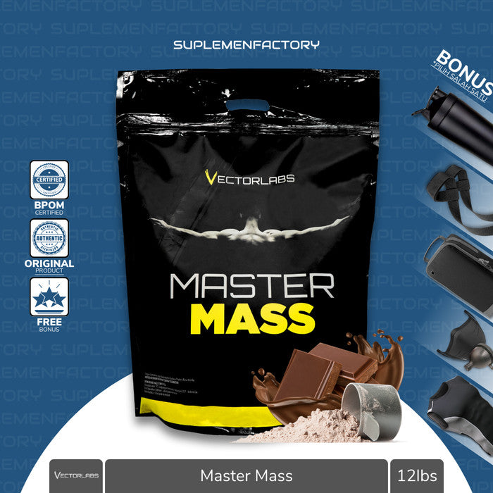 VectorLabs Master Mass 12 Lbs 12lbs Gainer Protein - Caramel