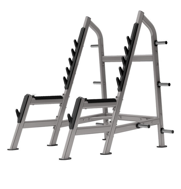 BINARAGANET INSIGHT DR028 SQUAT RACK