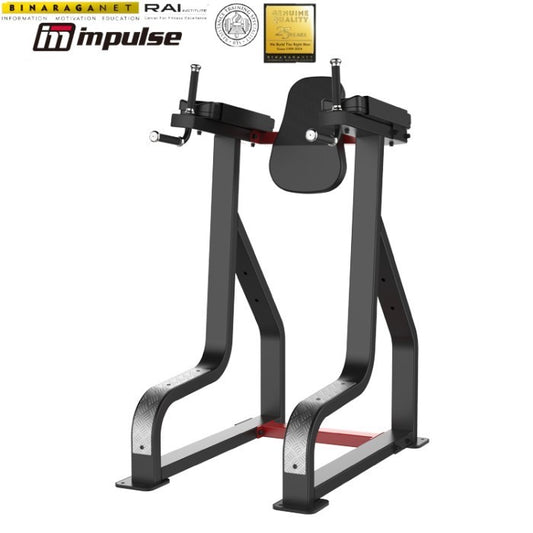 BINARAGANET IMPULSE SL7045 Vertical Knee Raise