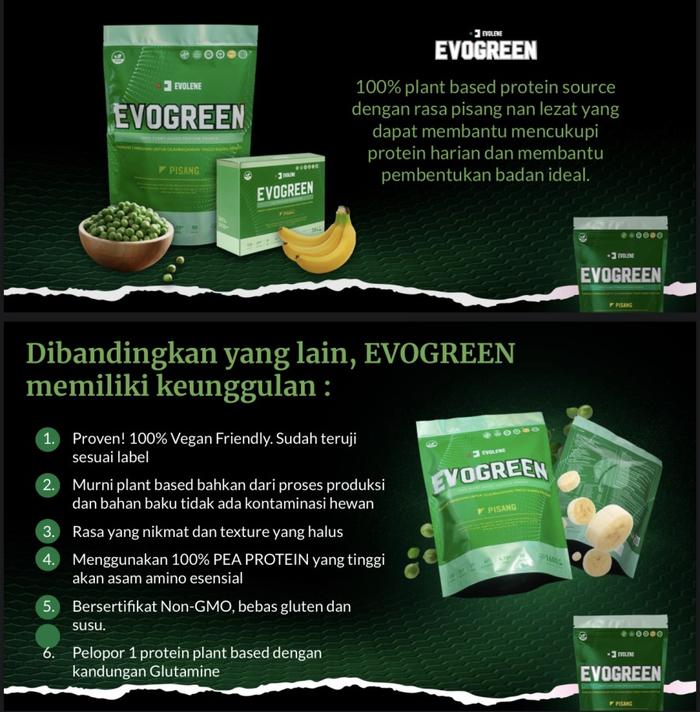 EVOLENE EVO GREEN 1 Box Isi 12 Sachet Vegan Protein Plant Based - Sachet Pwo