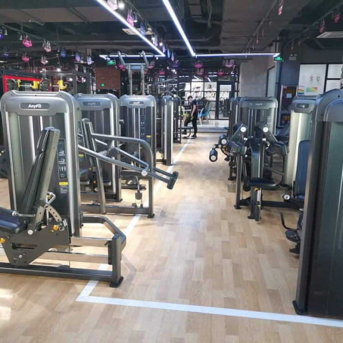 AnyFit PEB113 LATERAL RAISE
