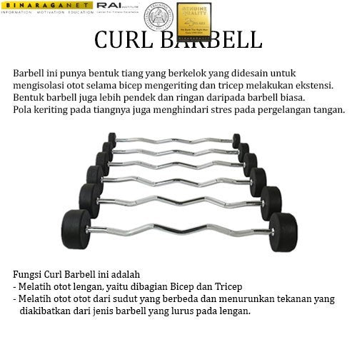 BINARAGANET EZ Curl Barbell Sterling Set