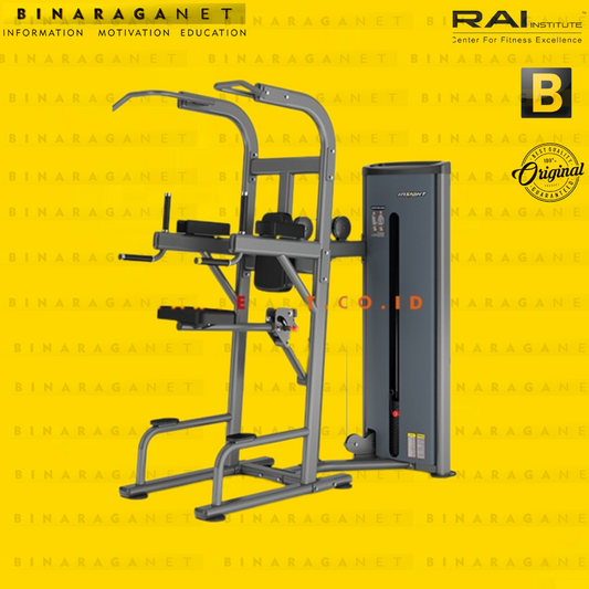 INSIGHT EASY CHIN & DIP MACHINE DA008 / COMMERCIAL GRADE