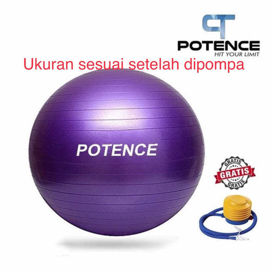 Gymball POTENCE 65 cm ANTI BURST / Gym ball / Bola Yoga / Gymball 65cm