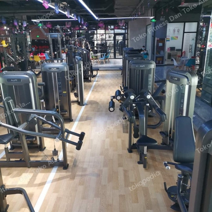 AnyFit PEB301 ABDOMINAL MACHINE