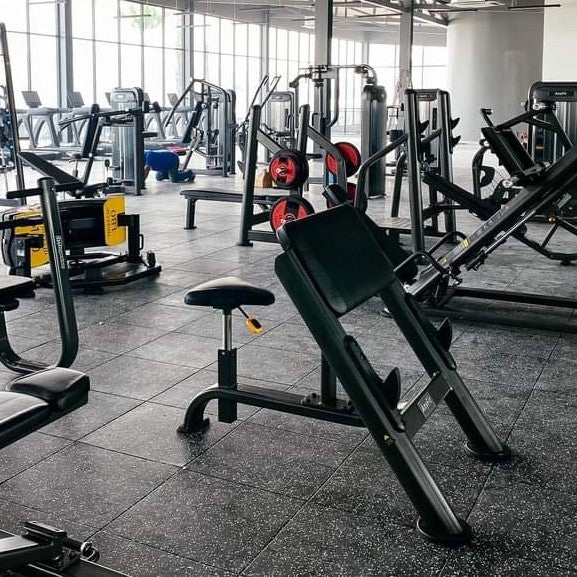 AnyFit PEB109 SCOTT CURL